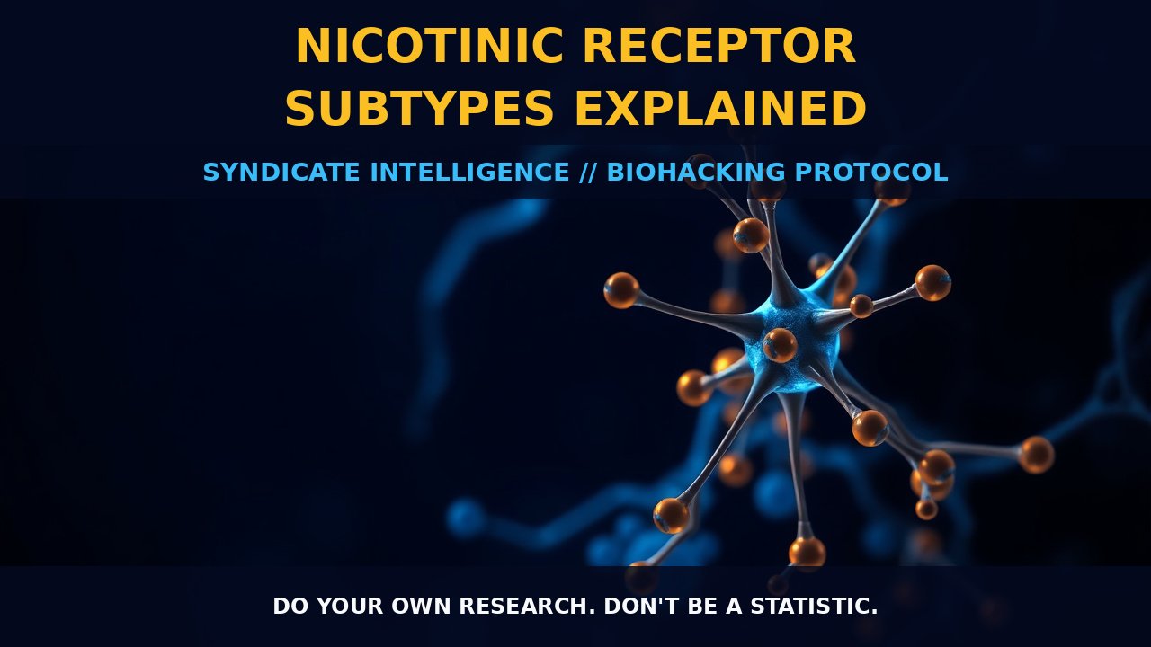Nicotinic Receptor Subtypes Explained