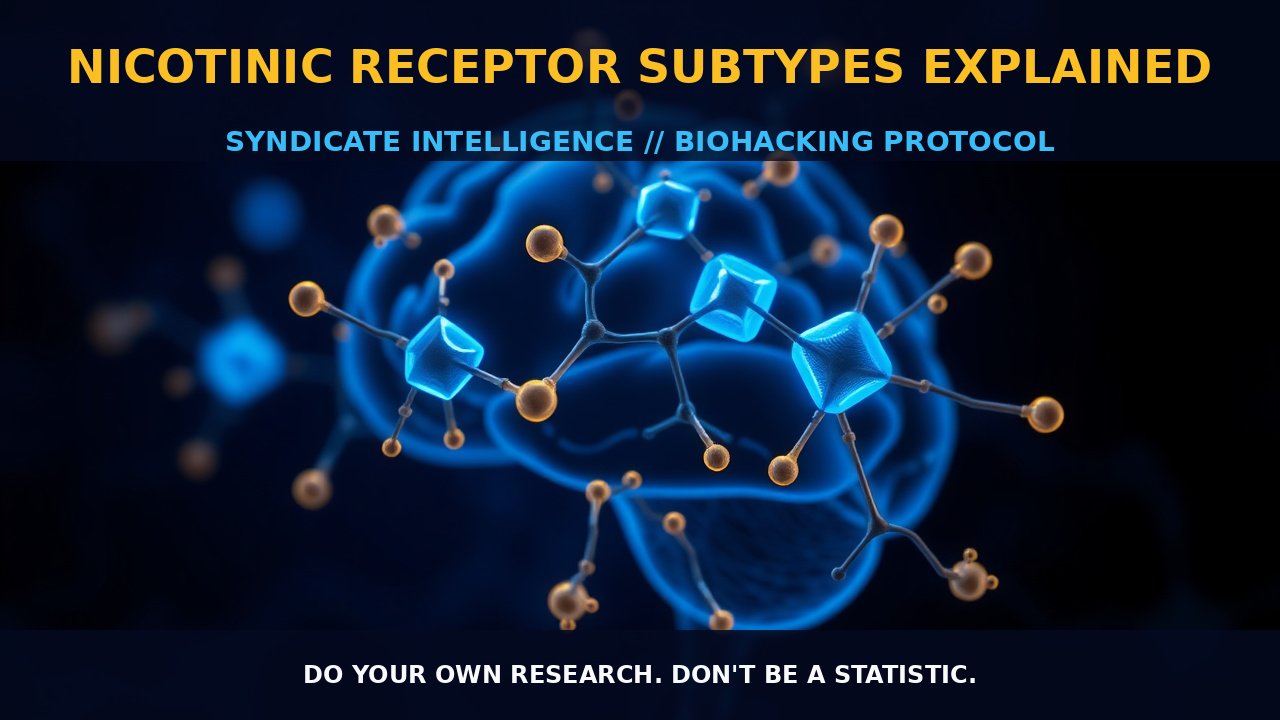 Nicotinic Receptor Subtypes Explained