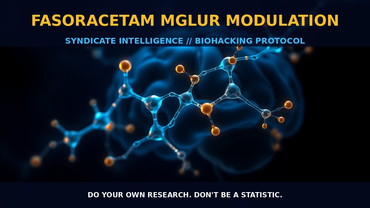 Fasoracetam mGluR Modulation