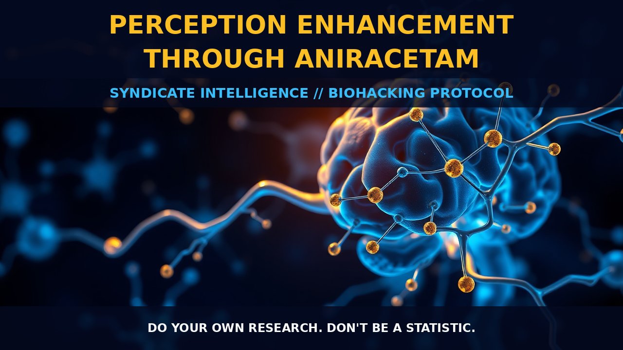 Perception Enhancement Through Aniracetam